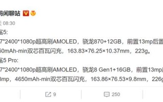 黑鲨5系列详细配置揭晓:两款手机差距不大 黑鲨5系列详细配置揭晓:两款手机差距不大