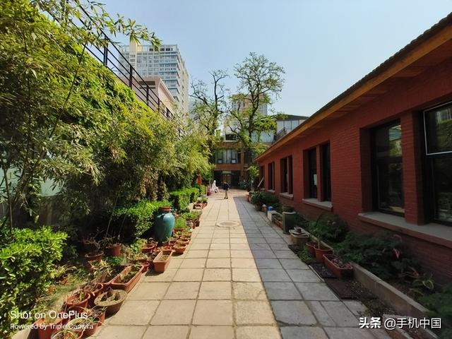 一加Ace评测：性能王牌带来极致体验-第20张图片-易维数码